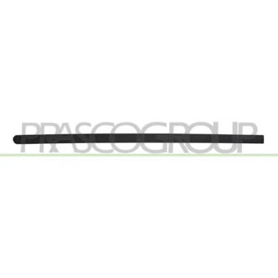 Image of Trim/Protection Strip, quarter panel PRASCO RN9541416