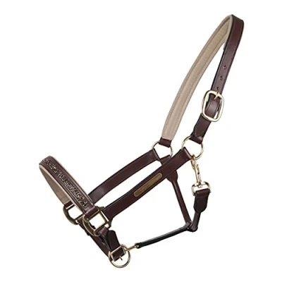 Image of QHP Leather Halter Lupine