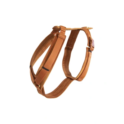 Image of Kentucky Dog Harness Active Velvet