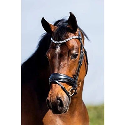Image of HB Showtime Bridle Fancy Patent