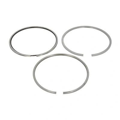 Image of Piston Ring Kit KOLBENSCHMIDT 800079310000