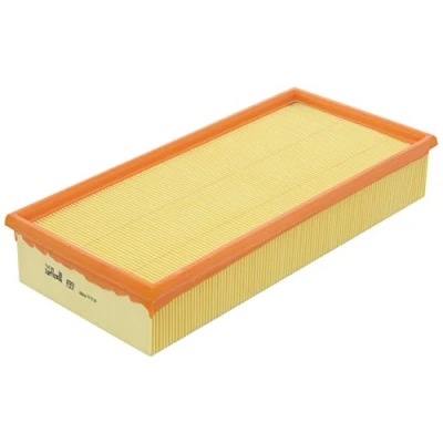 Image of Air Filter PURFLUX A397