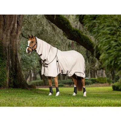 Image of LeMieux Kudos Field rug
