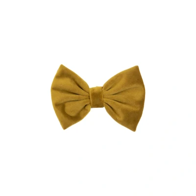 Image of Kentucky Bow Tie Velvet