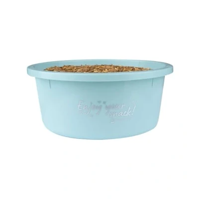 Image of WALDHAUSEN Small Feeding Bowl with Lid Turquoise 2 Litre
