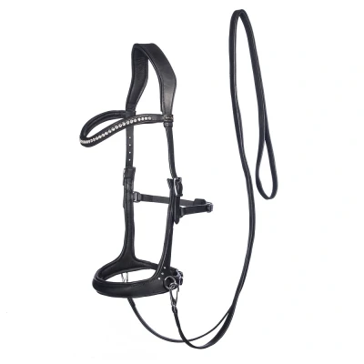 Image of F.R.A. Bitless Sidepull bridlRebecca