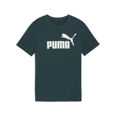 Image of Puma LOGO TEE Unisex Print Tshirt for kids, Size: 8y(7 8y), Green terrain