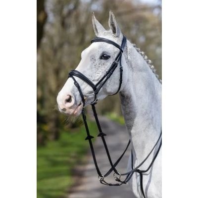 Image of LeMieux Competition Flash bridle