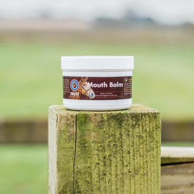 Image of Trust Mouth Balm 150ml