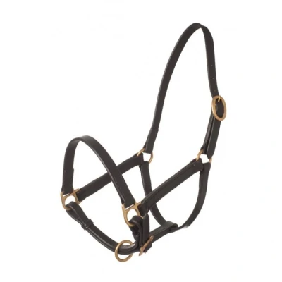 Image of HB leather halter Big Foal