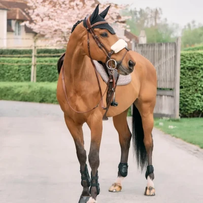Image of Kentucky Horsewear Sheepskin Nosebands Natural Horse Riding Equestrian