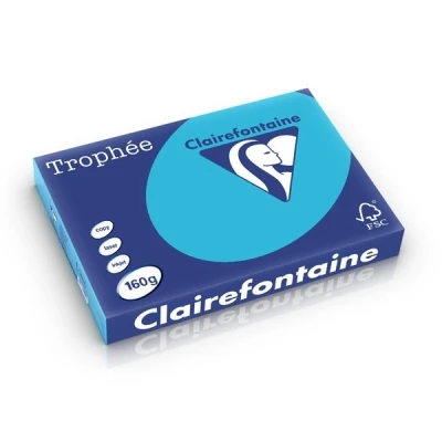 Image of Clairefontaine Ref 11440C Pollen Card (Pack of 25 Sheets) 82 x 128mm Sized, Acid Free, Inkjet &amp; Laser Compatible, Easy to Write On, 210gsm Leaf Bud Green