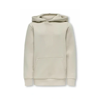 Image of Only &amp; sons junior Boy&#039;s Osjceres Hoodie SWT Noos, Silver Lining, 122 128