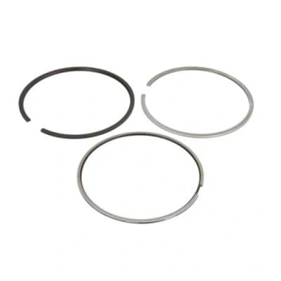 Image of Piston Ring Kit KOLBENSCHMIDT 800111610000