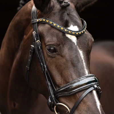 Image of HB Showtime Bridle Las Vegas