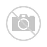 Image of Rubber Ring BOSCH F 00V C38 042