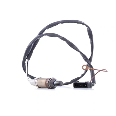 Image of Lambda Sensor BOSCH 0 258 003 114