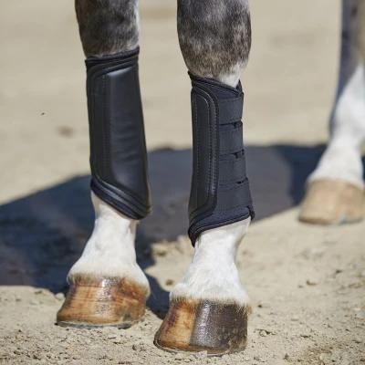 Image of Weatherbeeta Single Lock Brushing Boots
