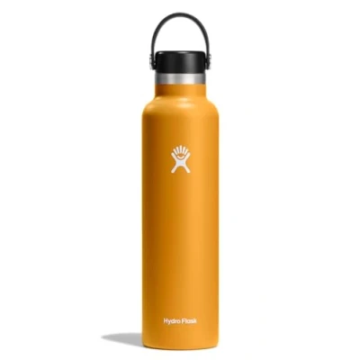 Image of 24 OZ Standard Flex Cap Fossil