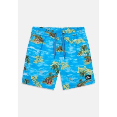 Image of Quiksilver Boy&#039;s Everyday Straight Volley Yth14 Board Shorts (Pack of 1)