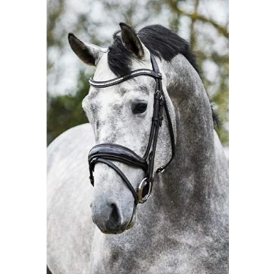 Image of Premiera &quot;Verona&quot; brown anatomical bridle