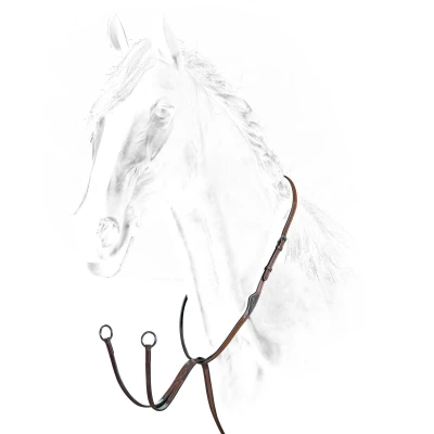 Image of Equiline Martingale