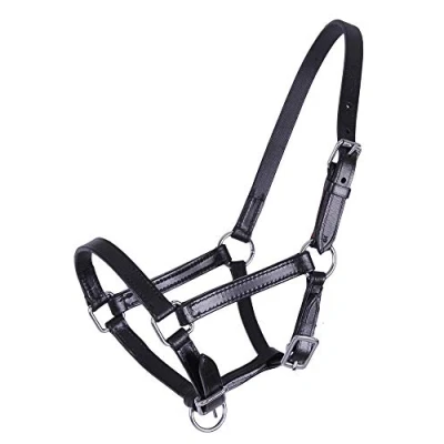 Image of QHP Leather Foal Halter Chico