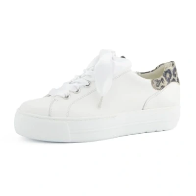 Image of Paul Green 5520 White, white 00x, 38.5 EU