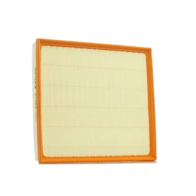 Image of Air Filter PURFLUX A1562