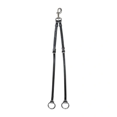 Image of Waldhausen X Line Martingale Fork