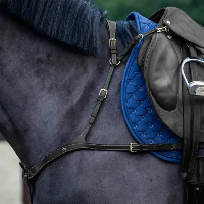 Image of Dyon Anatomic Breastplate