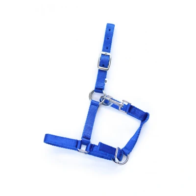 Image of HB Pony Foal Halter Astrid