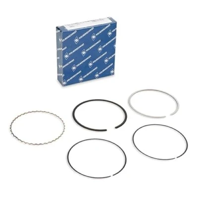 Image of Piston Ring Kit KOLBENSCHMIDT 800049110050