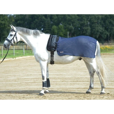 Image of Busse Lunge rug Fly
