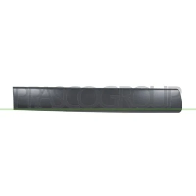 Image of Trim/Protection Strip, door PRASCO PG9041453