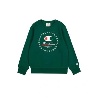 Image of Champion Boy&#039;s Hoodie, Green (Gs502), 3 4 Years