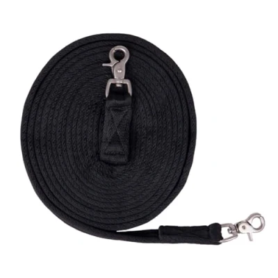 Image of QHP Long rein