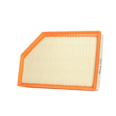 Image of Air Filter PURFLUX A1289