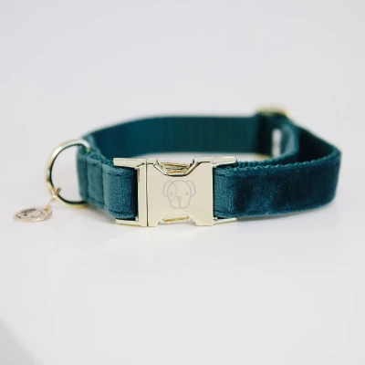 Image of Kentucky Dog Collar Velvet