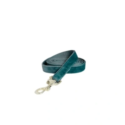 Image of Kentukcy Dog Lead Velvet