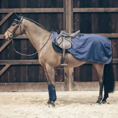 Image of Kentucky Horsewear Riding Rug All Weather Medium Horse Equestrian
