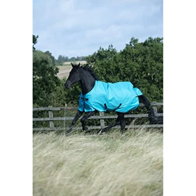 Image of Bucas Freedom Turnout Light Sweet Blue