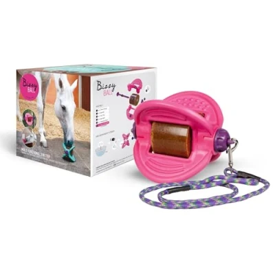 Image of Bizzy Ball multifunctional horse toy