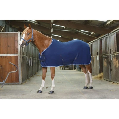 Image of Riding World fleece rug