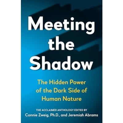 Image of Meeting the Shadow: Hidden Power of Dark Side Human Nature