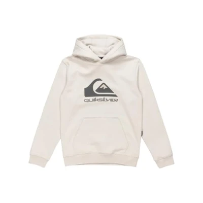 Image of Quiksilver BIG LOGO Hoodie Youth Unisex for kids, Size: 8y, Wind chime