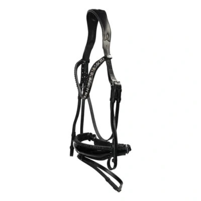 Image of HB Showtime Bridle Las Vegas