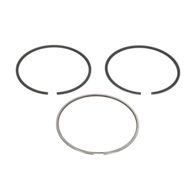 Image of Piston Ring Kit KOLBENSCHMIDT 800113910000
