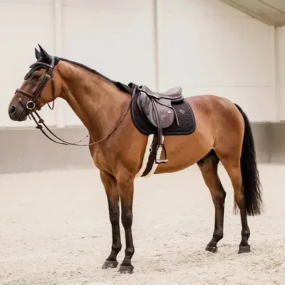 Image of Kentucky Horsewear Glitter Rope Saddle Pad Black Horse Riding Equestrian