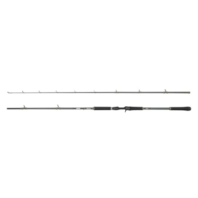 Image of Abu Garcia Beast X Casting Rod, Freshwater Angler Fishing Pike Perch &amp; Zander, Strong Leightweight Versatile, Green, 2.54m Fast Ambidextrous Rod